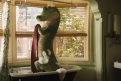 Immagine 10 - Il Talento di Mr. Crocodile immagini del film di Josh Gordon e Will Speck con Javier Bardem e Constance Wu