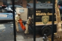 Immagine 15 - Il Talento di Mr. Crocodile immagini del film di Josh Gordon e Will Speck con Javier Bardem e Constance Wu
