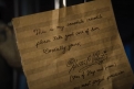 Immagine 8 - Il Talento di Mr. Crocodile immagini del film di Josh Gordon e Will Speck con Javier Bardem e Constance Wu