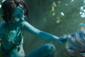 Immagine 8 - Avatar: La Via dell'Acqua, foto e immagini del film di James Cameron con Sam Worthington, Zoe Saldana, Kate Winslet, Sigourney