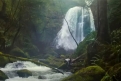 Immagine 4 - 65 - Fuga dalla Terra, immagini del film di Scott Beck, Bryan Woods con Adam Driver, Ariana Greenblatt