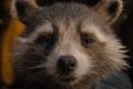 Immagine 11 - Guardiani della Galassia Vol. 3, immagini del film Marvel di James Gunn con Chris Pratt, Zoe Saldana