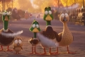 Immagine 17 - Prendi Il Volo, immagini e disegni del film animazione dai creatori di Cattivissimo Me e Super Mario Bros