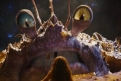 Immagine 13 - Oceania, immagini del remake live-action del film Disney, Dwayne Johnson e Catherine Laga'aia