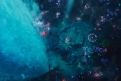 Immagine 25 - Oceania, immagini del remake live-action del film Disney, Dwayne Johnson e Catherine Laga'aia