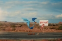 Immagine 11 - Immagini e disegni di Coyote vs. Acme, film di Dave Green con John Cena, Lana Condor, con protagonista Willy il Coyote