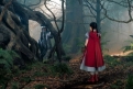 Immagine 1 - Into the Woods
