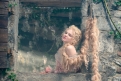 Immagine 14 - Into the Woods
