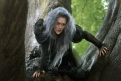 Immagine 16 - Into the Woods