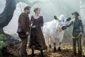 Immagine 18 - Into the Woods