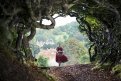 Immagine 2 - Into the Woods