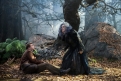Immagine 22 - Into the Woods