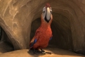 Immagine 24 - Robinson Crusoe, immagini e disegni del film d'animazione del 2016