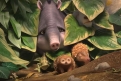 Immagine 12 - Robinson Crusoe, immagini e disegni del film d'animazione del 2016