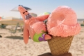 Immagine 12 - SpongeBob- Fuori dall'acqua, foto