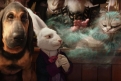Immagine 30 - Alice attraverso lo specchio, foto e immagini del film