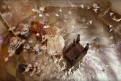 Immagine 38 - Alice attraverso lo specchio, foto e immagini del film