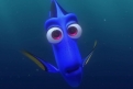 Immagine 39 - Alla ricerca di Dory, divertenti  immagini del film