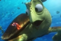 Immagine 35 - Alla ricerca di Dory, divertenti  immagini del film