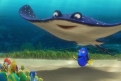 Immagine 50 - Alla ricerca di Dory, divertenti  immagini del film