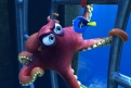 Immagine 23 - Alla ricerca di Dory, divertenti  immagini del film
