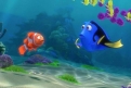 Immagine 48 - Alla ricerca di Dory, divertenti  immagini del film