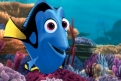 Immagine 25 - Alla ricerca di Dory, divertenti  immagini del film