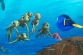 Immagine 27 - Alla ricerca di Dory, divertenti  immagini del film
