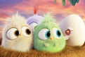 Immagine 28 - Angry Birds-Il film, foto e immagini