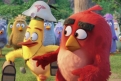 Immagine 13 - Angry Birds-Il film, foto e immagini