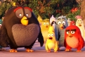 Immagine 1 - Angry Birds-Il film, foto e immagini