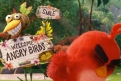 Immagine 29 - Angry Birds-Il film, foto e immagini