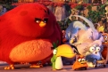 Immagine 17 - Angry Birds-Il film, foto e immagini