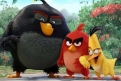Immagine 2 - Angry Birds 2 Nemici amici per sempre, immagini e disegni tratti dal film d’animazione