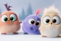 Immagine 20 - Angry Birds-Il film, foto e immagini