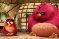 Immagine 24 - Angry Birds-Il film, foto e immagini