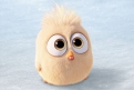 Immagine 7 - Angry Birds-Il film, foto e immagini