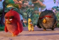Immagine 26 - Angry Birds-Il film, foto e immagini