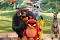 Immagine 7 - Angry Birds 2 Nemici amici per sempre, immagini e disegni tratti dal film d’animazione