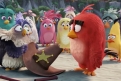 Immagine 12 - Angry Birds-Il film, foto e immagini