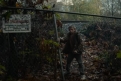 Immagine 19 - Antlers Spirito Insaziabile, foto e immagini del film horror del 2021 di Scott Cooper