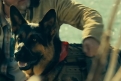 Immagine 15 - Heart of the Beast - Nel Profondo Selvaggio, immagini del film di David Ayer con Brad Pitt, J.K. Simmons