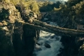 Immagine 16 - Heart of the Beast - Nel Profondo Selvaggio, immagini del film di David Ayer con Brad Pitt, J.K. Simmons