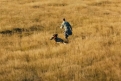 Immagine 2 - Heart of the Beast - Nel Profondo Selvaggio, immagini del film di David Ayer con Brad Pitt, J.K. Simmons
