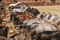 Immagine 20 - Ben-Hur (1959), immagini del film di William Wyler con Charlton Heston, Jack Hawkins, Haya Harareet, Stephen Boyd