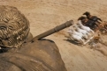 Immagine 6 - Ben-Hur (1959), immagini del film di William Wyler con Charlton Heston, Jack Hawkins, Haya Harareet, Stephen Boyd
