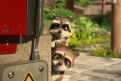Immagine 17 - Bigfoot junior (The Son of Bigfoot), immagini e disegni tratti dal film