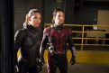 Immagine 12 - Ant-Man and The Wasp: Quantumania, immagini del film Marvel di Peyton Reed con Paul Rudd, Evangeline Lilly, Bill Murray, Kathryn