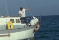 Immagine 1 - Chi trova un amico trova un tesoro, Charlie e Alan partono sfidando l’oceano con un carico di Puffin … foto del film con Bud Spe