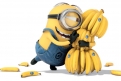 Immagine 9 - MINIONS il film